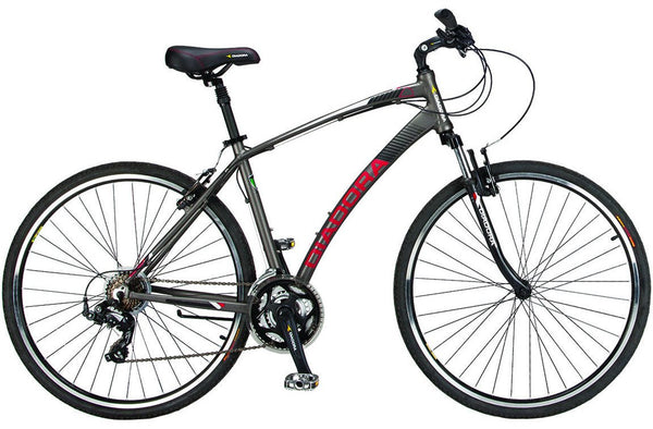 Diadora passato 700c discount women's hybrid bike 2021